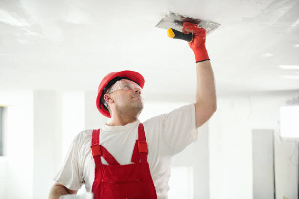 Best Residential Painting  in De Queen, AR